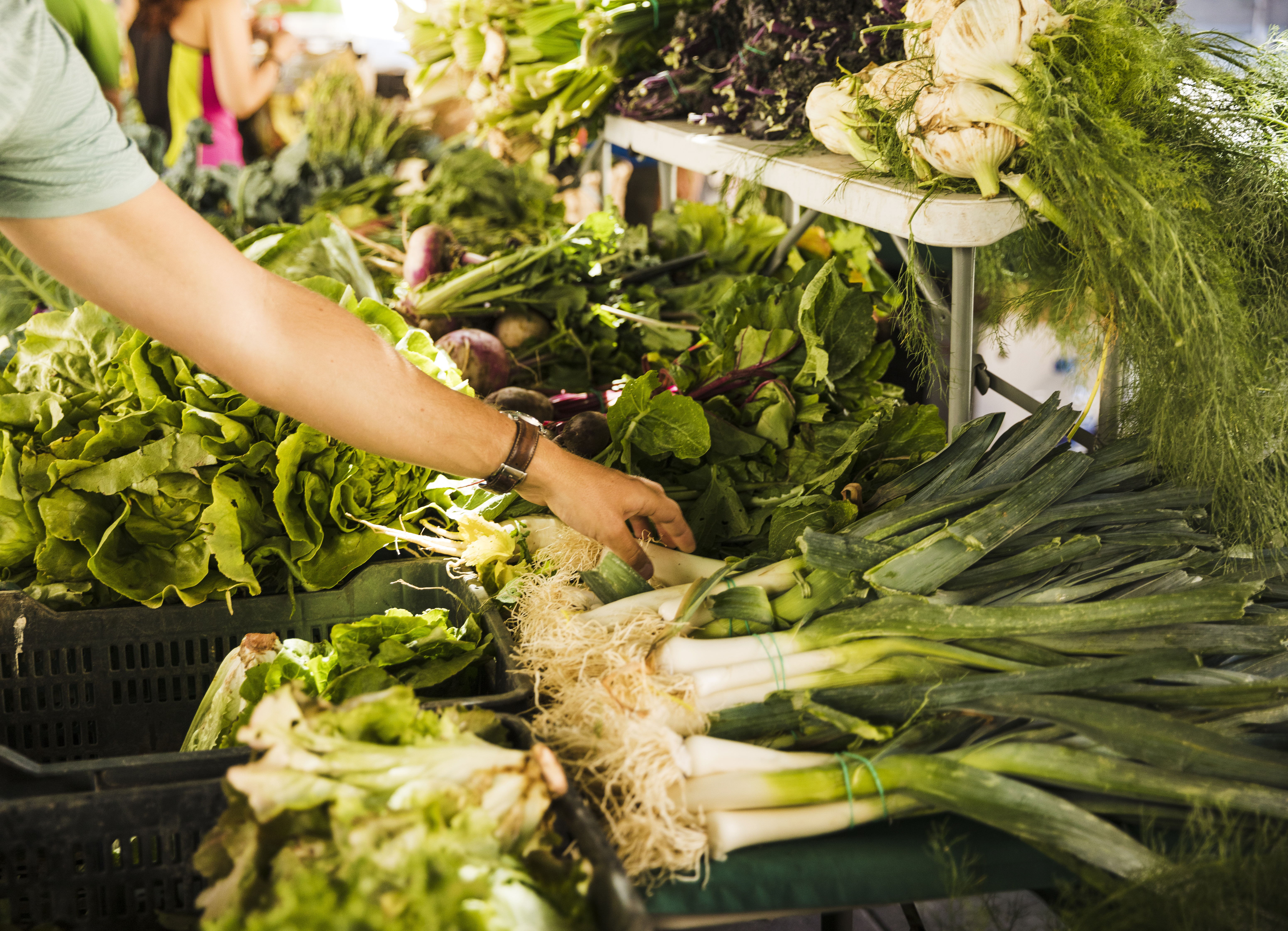 male-consumer-s-hand-choosing-green-fresh-vegetable-market-stall